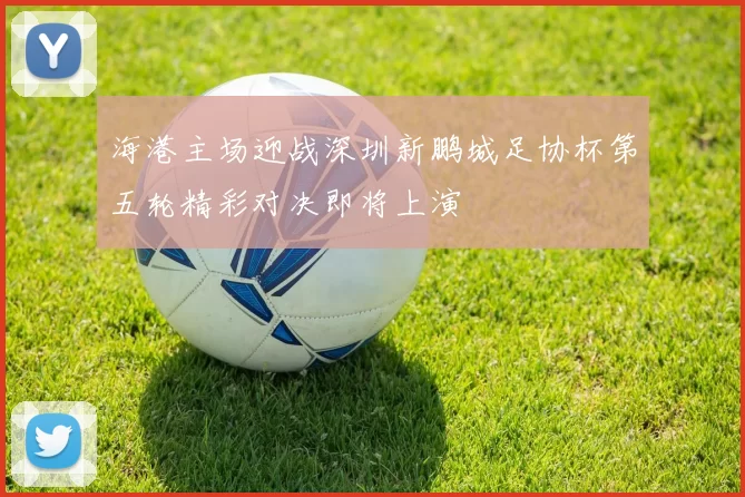 海港主场迎战深圳新鹏城足协杯第五轮精彩对决即将上演